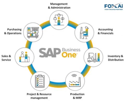 Các phân hệ chính của SAP B1 trong ngân hàng