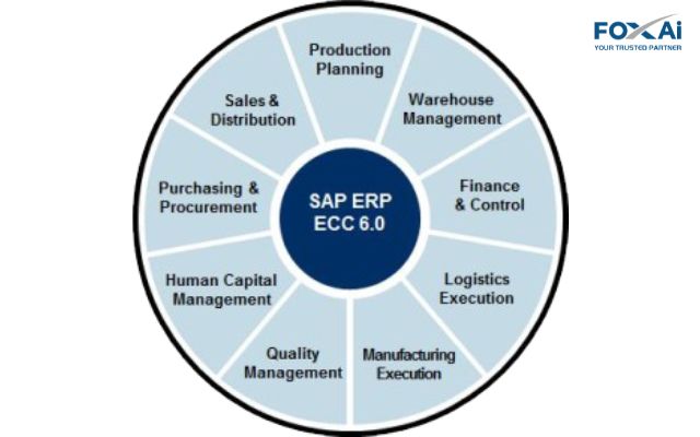 Phần mềm SAP ECC