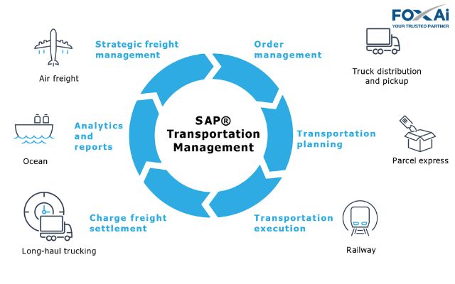 Phần mềm SAP TMS & hệ sinh thái phần mềm bổ trợ