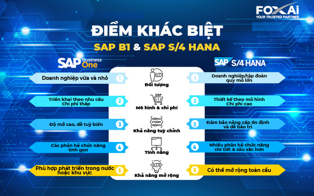 SAP B1 và S/4 Hana