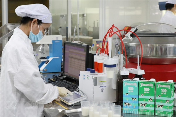 Hệ thống kiểm soát nội bộ và văn hóa quản trị rủi ro