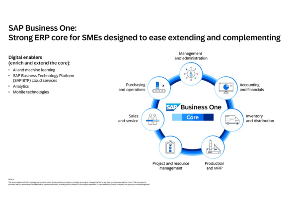 Hệ thống lõi của SAP Business One